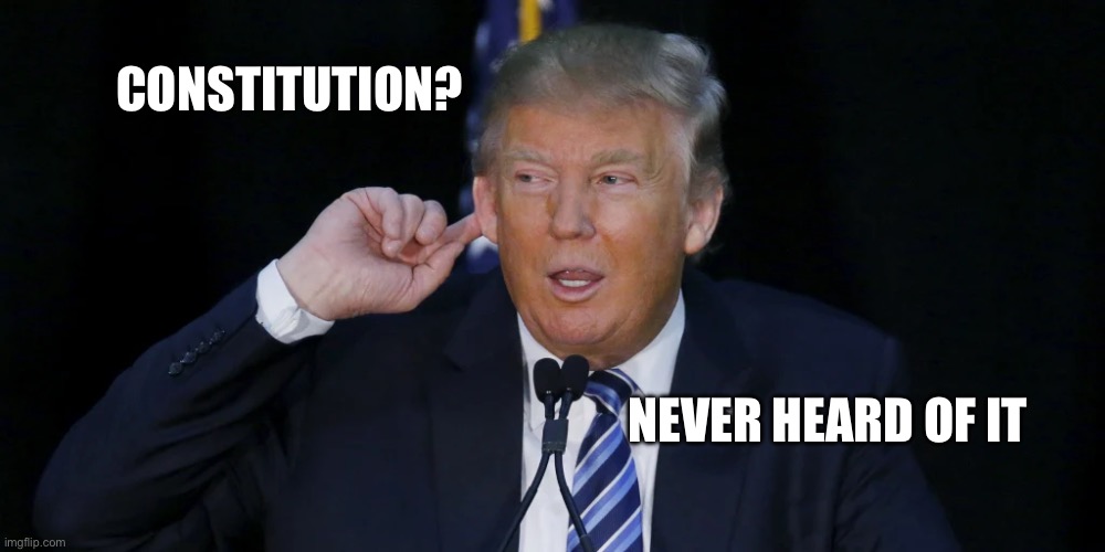 Trump x constitution | CONSTITUTION? NEVER HEARD OF IT | image tagged in trump,constitution,republicans,conservatives,reactionaries | made w/ Imgflip meme maker