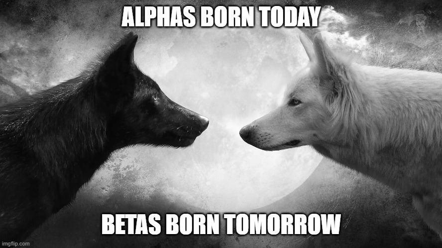 New Gen Joke | ALPHAS BORN TODAY; BETAS BORN TOMORROW | image tagged in you have two wolves | made w/ Imgflip meme maker