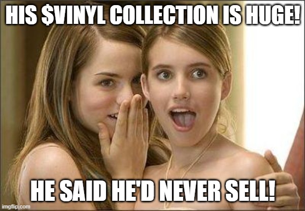 $VINYL collection | HIS $VINYL COLLECTION IS HUGE! HE SAID HE'D NEVER SELL! | image tagged in girls gossiping,vinyl,collection | made w/ Imgflip meme maker