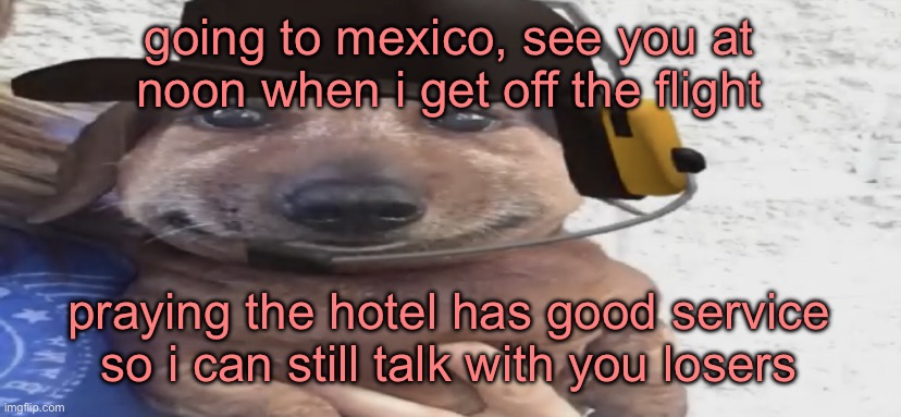 chucklenuts | going to mexico, see you at noon when i get off the flight; praying the hotel has good service so i can still talk with you losers | image tagged in chucklenuts | made w/ Imgflip meme maker