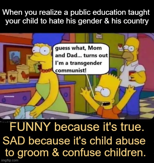 It doesn't take a village to raise your child... | When you realize a public education taught 
your child to hate his gender & his country; FUNNY because it's true. SAD because it's child abuse 
to groom & confuse children. | image tagged in public education,liberalism,mental health,parenting,liberals vs conservatives,political humor | made w/ Imgflip meme maker