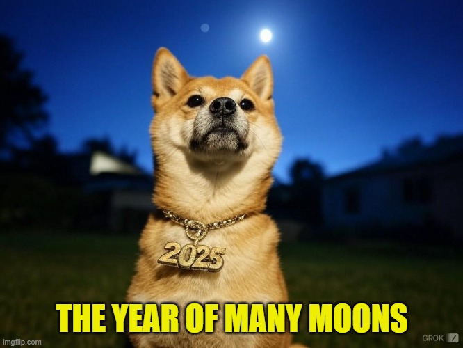 Many moons | THE YEAR OF MANY MOONS | image tagged in doge,dogecoin,elon musk,crypto,cryptocurrency,moon | made w/ Imgflip meme maker