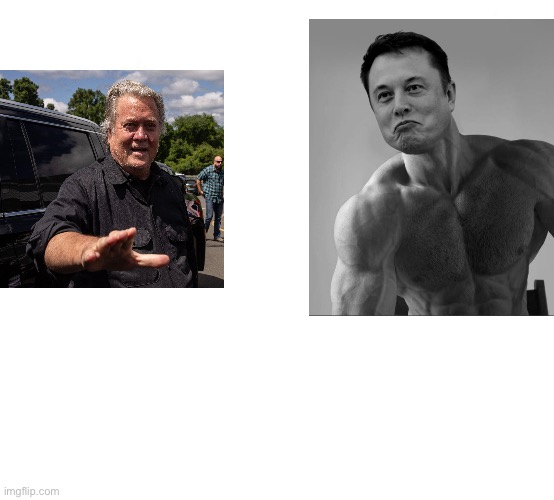 virgin vs chad | image tagged in virgin vs chad,elon musk,shitpost,funny memes,lol,gigachad | made w/ Imgflip meme maker