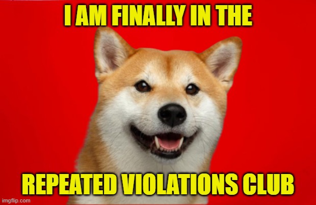 Maga Garbage Doge | I AM FINALLY IN THE; REPEATED VIOLATIONS CLUB | image tagged in garbage,maga,repeat,suspension,comments,comment | made w/ Imgflip meme maker