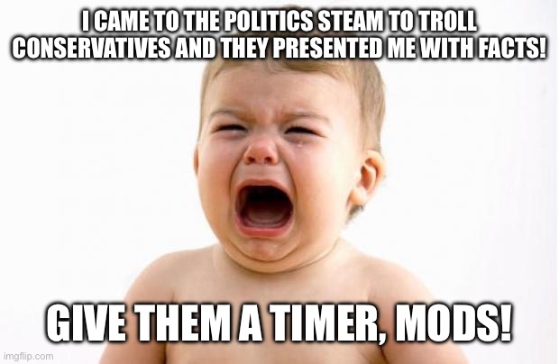 Leftists at this site be like: | I CAME TO THE POLITICS STEAM TO TROLL CONSERVATIVES AND THEY PRESENTED ME WITH FACTS! GIVE THEM A TIMER, MODS! | image tagged in baby crying | made w/ Imgflip meme maker