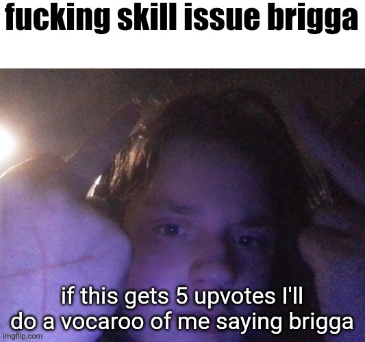 fucking skill issue brigga | if this gets 5 upvotes I'll do a vocaroo of me saying brigga | image tagged in fucking skill issue brigga | made w/ Imgflip meme maker