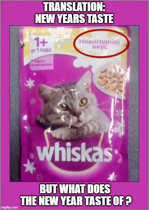 Russian New Years Whiskas ! | TRANSLATION:
NEW YEARS TASTE; BUT WHAT DOES 
THE NEW YEAR TASTE OF ? | image tagged in cats,new years,russian,whiskas | made w/ Imgflip meme maker