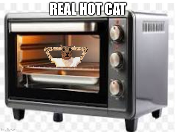 REAL HOT CAT | made w/ Imgflip meme maker