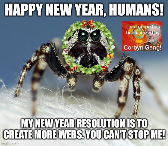 Angry Spider Noises | HAPPY NEW YEAR, HUMANS! This meme has been seized by; Corbyn Gang! MY NEW YEAR RESOLUTION IS TO CREATE MORE WEBS. YOU CAN'T STOP ME! | image tagged in memes,new,resolution | made w/ Imgflip meme maker