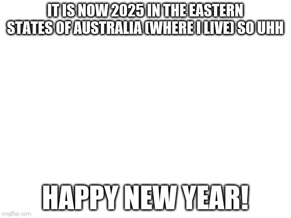 I am in the future (jk) | IT IS NOW 2025 IN THE EASTERN STATES OF AUSTRALIA (WHERE I LIVE) SO UHH; HAPPY NEW YEAR! | image tagged in bee | made w/ Imgflip meme maker