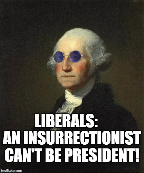 insurrectionist | LIBERALS:     AN INSURRECTIONIST CAN'T BE PRESIDENT! | image tagged in george washington sunglasses | made w/ Imgflip meme maker