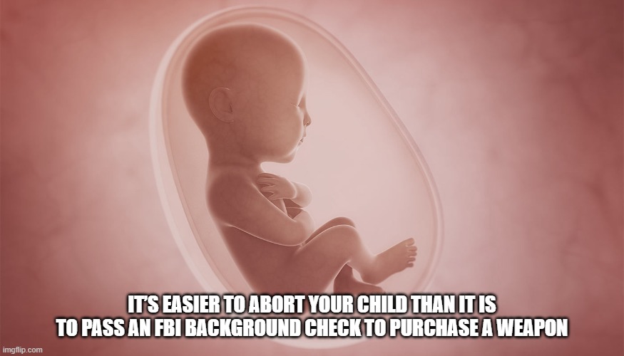 It’s easier to abort your child than it is to pass an FBI background check to purchase a weapon. | IT’S EASIER TO ABORT YOUR CHILD THAN IT IS TO PASS AN FBI BACKGROUND CHECK TO PURCHASE A WEAPON | image tagged in abortion,democrats | made w/ Imgflip meme maker