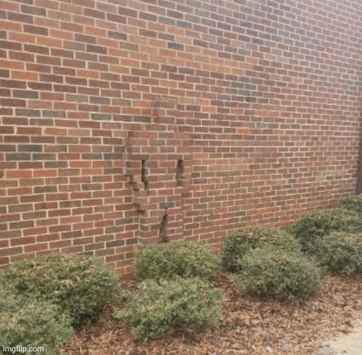 Brick Camouflage | image tagged in brick camouflage | made w/ Imgflip meme maker