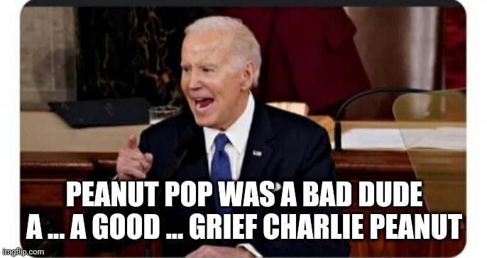 Angry old Joe Biden | PEANUT POP WAS A BAD DUDE
A ... A GOOD ... GRIEF CHARLIE PEANUT | image tagged in angry old joe biden | made w/ Imgflip meme maker