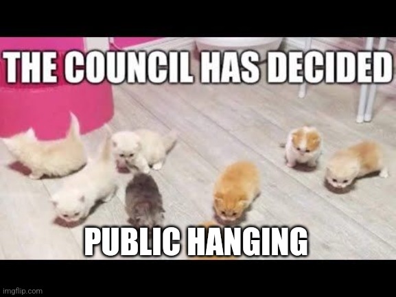 the council has decided | PUBLIC HANGING | image tagged in the council has decided | made w/ Imgflip meme maker