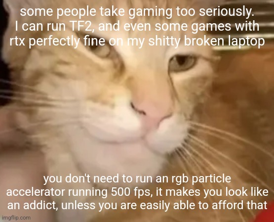 cat mewing | some people take gaming too seriously. I can run TF2, and even some games with rtx perfectly fine on my shitty broken laptop; you don't need to run an rgb particle accelerator running 500 fps, it makes you look like an addict, unless you are easily able to afford that | image tagged in cat mewing | made w/ Imgflip meme maker