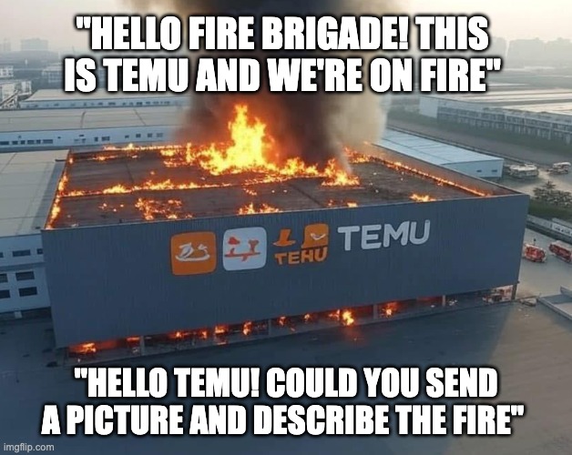 FIRE | "HELLO FIRE BRIGADE! THIS IS TEMU AND WE'RE ON FIRE"; "HELLO TEMU! COULD YOU SEND A PICTURE AND DESCRIBE THE FIRE" | image tagged in temu,fire | made w/ Imgflip meme maker