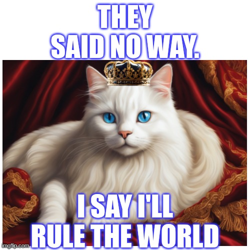 The Attitude Of A Typical Cat | THEY SAID NO WAY. I SAY I'LL RULE THE WORLD | image tagged in memes,cats | made w/ Imgflip meme maker