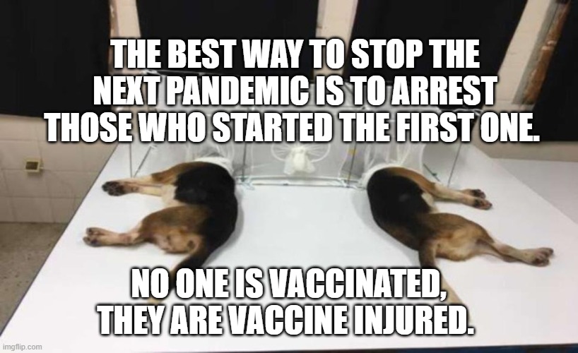 Fauci Beagles | THE BEST WAY TO STOP THE NEXT PANDEMIC IS TO ARREST THOSE WHO STARTED THE FIRST ONE. NO ONE IS VACCINATED, THEY ARE VACCINE INJURED. | image tagged in fauci beagles | made w/ Imgflip meme maker