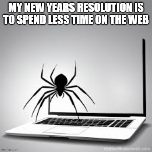 memes by Brad - My spider has a New Years resolution - humor - | MY NEW YEARS RESOLUTION IS TO SPEND LESS TIME ON THE WEB | image tagged in fun,funny,spider,new years resolutions,christmas,new year | made w/ Imgflip meme maker