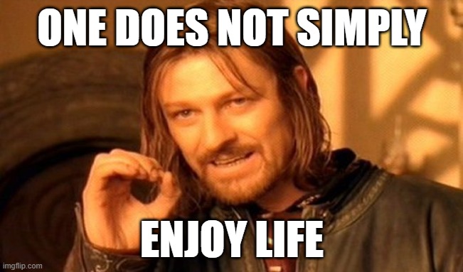 life | ONE DOES NOT SIMPLY; ENJOY LIFE | image tagged in memes,one does not simply | made w/ Imgflip meme maker