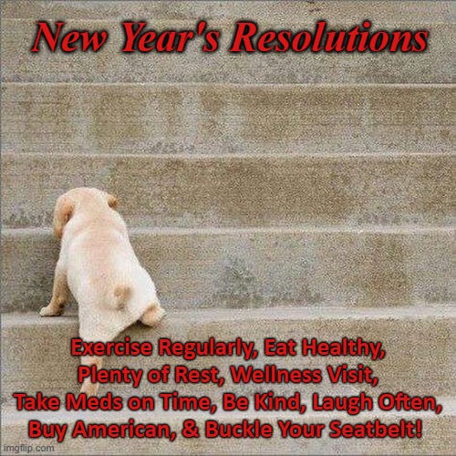 Puppy Climbing Stairs | New Year's Resolutions; Exercise Regularly, Eat Healthy, Plenty of Rest, Wellness Visit, Take Meds on Time, Be Kind, Laugh Often, Buy American, & Buckle Your Seatbelt! | image tagged in puppy climbing stairs | made w/ Imgflip meme maker