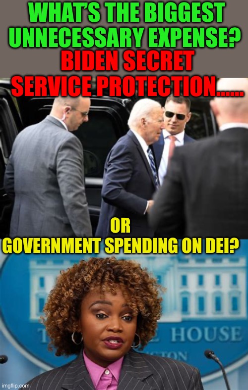 Is Biden Secret Service protecting him from Democrats? | WHAT’S THE BIGGEST UNNECESSARY EXPENSE? BIDEN SECRET SERVICE PROTECTION……; OR GOVERNMENT SPENDING ON DEI? | image tagged in gifs,democrats,sad joe biden,woke,secret service | made w/ Imgflip meme maker