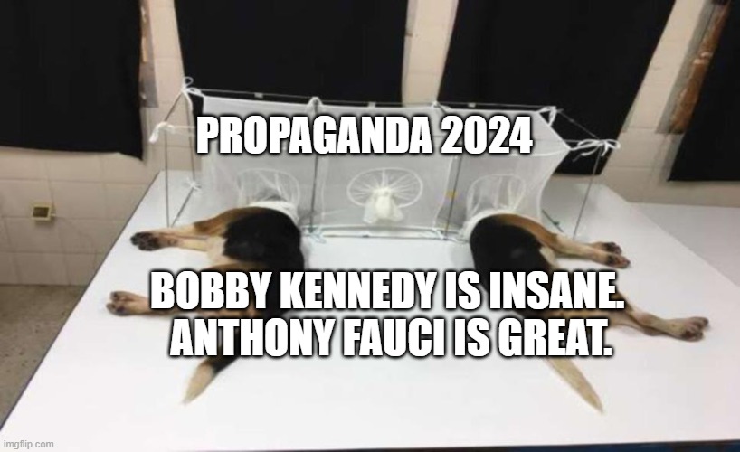 Fauci Beagles | PROPAGANDA 2024; BOBBY KENNEDY IS INSANE.      ANTHONY FAUCI IS GREAT. | image tagged in fauci beagles | made w/ Imgflip meme maker