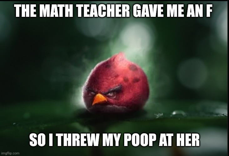 I was bored so I made this | THE MATH TEACHER GAVE ME AN F; SO I THREW MY POOP AT HER | image tagged in realistic angry birds | made w/ Imgflip meme maker