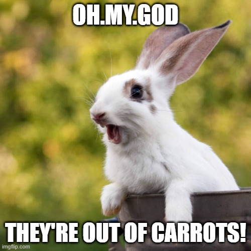 Bunny Shock | OH.MY.GOD; THEY'RE OUT OF CARROTS! | image tagged in bunnies | made w/ Imgflip meme maker