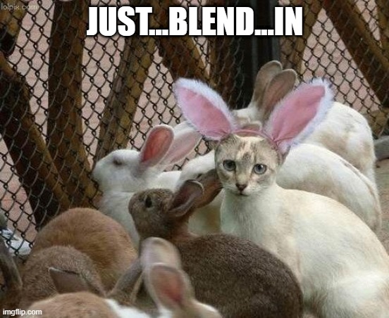 Cat bunny | JUST...BLEND...IN | image tagged in bunnies | made w/ Imgflip meme maker