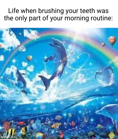 now it's like wash ur face 40 times put on deodorant shower floss blahahahekd dofnemsl | Life when brushing your teeth was the only part of your morning routine: | image tagged in how life feels when,life when,dolphin,kids,bliss,sad but true | made w/ Imgflip meme maker