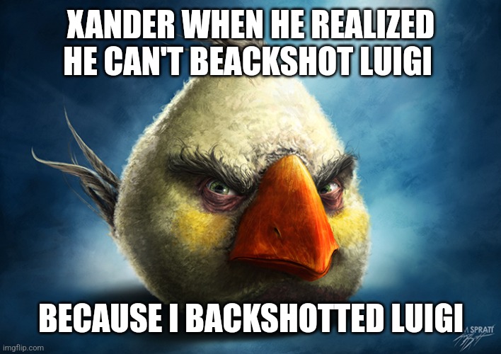 Real White Angry Bird | XANDER WHEN HE REALIZED HE CAN'T BEACKSHOT LUIGI; BECAUSE I BACKSHOTTED LUIGI | image tagged in real white angry bird | made w/ Imgflip meme maker