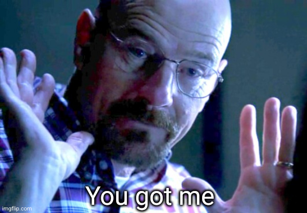 Walter you got me | You got me | image tagged in walter you got me | made w/ Imgflip meme maker