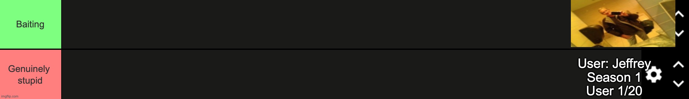 We're starting the project. Vote in the comments whether Jeffrey is baiting or genuinely stupid. | User: Jeffrey
Season 1
User 1/20 | image tagged in bait or genuine stupidity | made w/ Imgflip meme maker
