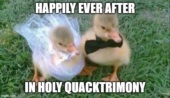 Duck Wedding | HAPPILY EVER AFTER; IN HOLY QUACKTRIMONY | image tagged in ducks | made w/ Imgflip meme maker