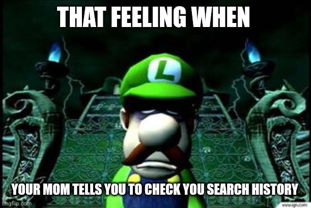 Real | THAT FEELING WHEN; YOUR MOM TELLS YOU TO CHECK YOU SEARCH HISTORY | image tagged in depressed luigi | made w/ Imgflip meme maker