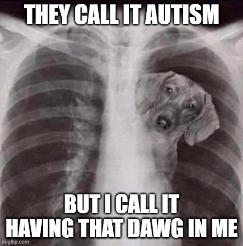 i got that dawg in me yo | THEY CALL IT AUTISM; BUT I CALL IT HAVING THAT DAWG IN ME | image tagged in funny memes | made w/ Imgflip meme maker