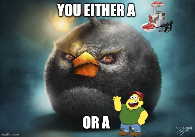 Idk I'm bored | YOU EITHER A; OR A | image tagged in angry birds bomb | made w/ Imgflip meme maker