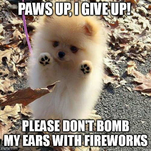 Pomeranians Against Fireworks | PAWS UP, I GIVE UP! PLEASE DON'T BOMB MY EARS WITH FIREWORKS | image tagged in pomeranian puppy | made w/ Imgflip meme maker