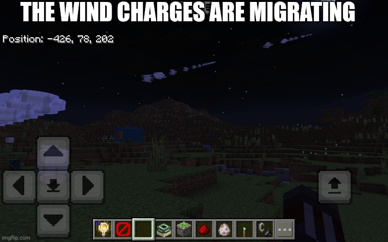 They're migrating | THE WIND CHARGES ARE MIGRATING | image tagged in wind charges,migration of wind charge,flight of the wind charges | made w/ Imgflip meme maker