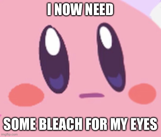 Blank Kirby Face | I NOW NEED SOME BLEACH FOR MY EYES | image tagged in blank kirby face | made w/ Imgflip meme maker