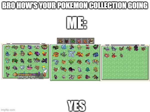 this is my collection | BRO HOW'S YOUR POKEMON COLLECTION GOING; ME:; YES | made w/ Imgflip meme maker