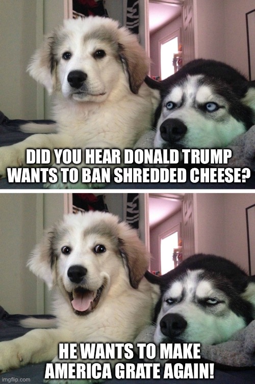 Oh…You have “Dad Jokes”, do you? | DID YOU HEAR DONALD TRUMP WANTS TO BAN SHREDDED CHEESE? HE WANTS TO MAKE AMERICA GRATE AGAIN! | image tagged in joking dog,donald trump,maga,great,dad joke | made w/ Imgflip meme maker