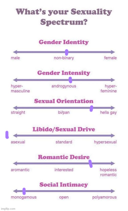 What's your sexuality spectrum? | image tagged in what's your sexuality spectrum | made w/ Imgflip meme maker