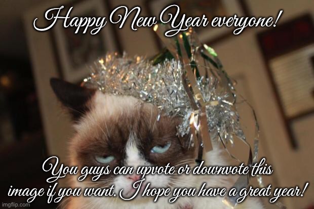 Grumpy Cat New Years | Happy New Year everyone! You guys can upvote or downvote this image if you want. I hope you have a great year! | image tagged in grumpy cat new years | made w/ Imgflip meme maker