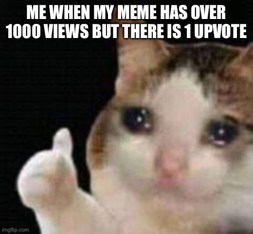 Approved crying cat | ME WHEN MY MEME HAS OVER 1000 VIEWS BUT THERE IS 1 UPVOTE | image tagged in approved crying cat,cat | made w/ Imgflip meme maker