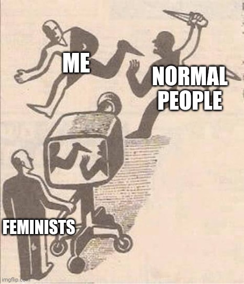 cameraman showing shit wrong | ME; NORMAL PEOPLE; FEMINISTS | image tagged in i want to deep throat ryan gosling's dick | made w/ Imgflip meme maker