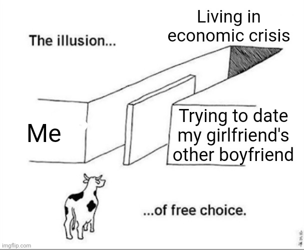 Illusion of free choice | Living in economic crisis; Me; Trying to date my girlfriend's other boyfriend | image tagged in illusion of free choice | made w/ Imgflip meme maker