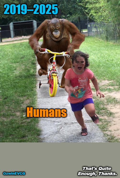 Happy New Year, Memes Overload...! | image tagged in orangutan chasing girl,happy new year,2025,animals,2020s,human species | made w/ Imgflip meme maker